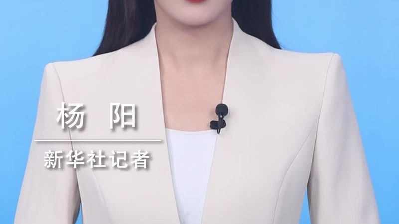 OA办公系统：性价比背后的考量因素